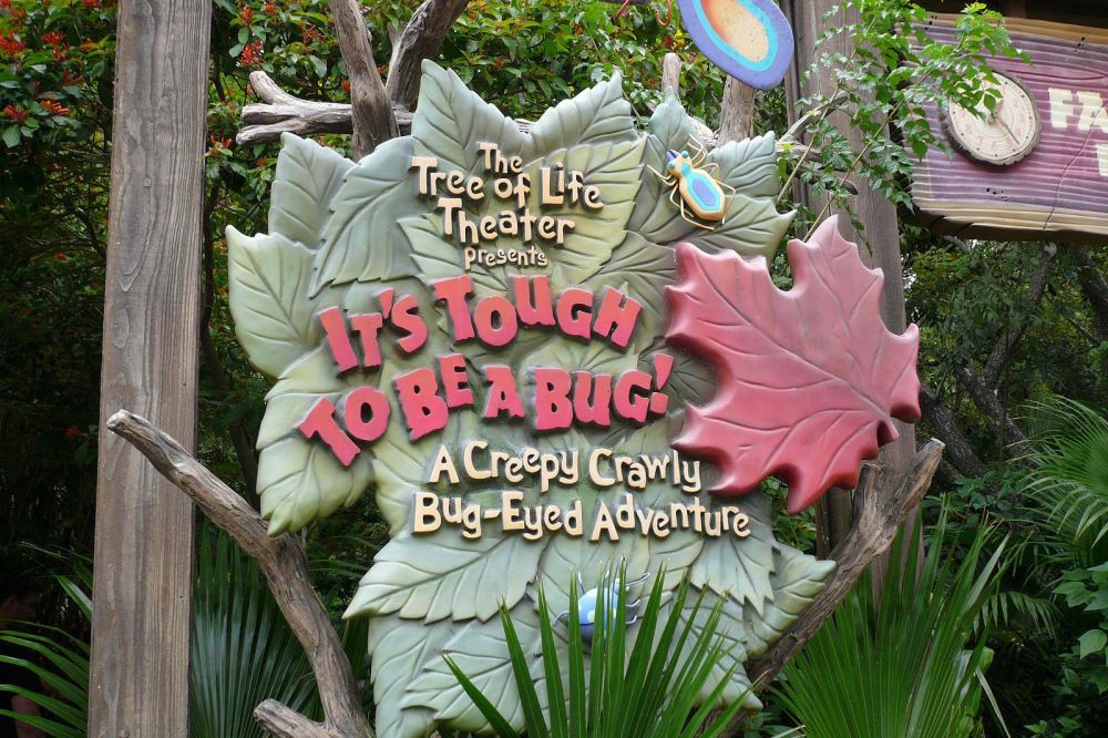 Its_Tough_to_be_a_Bug_Sign_(2598576385)